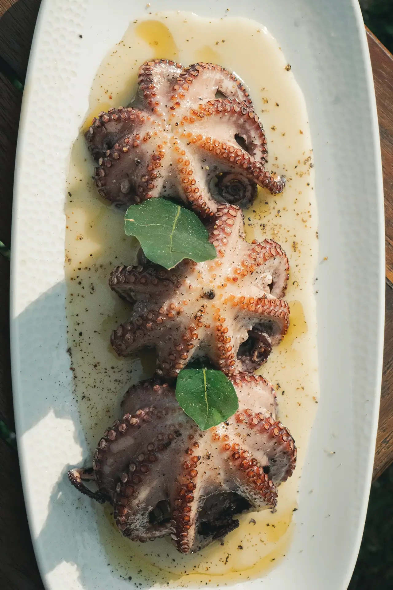 Moscardini arrostiti in crema di patate