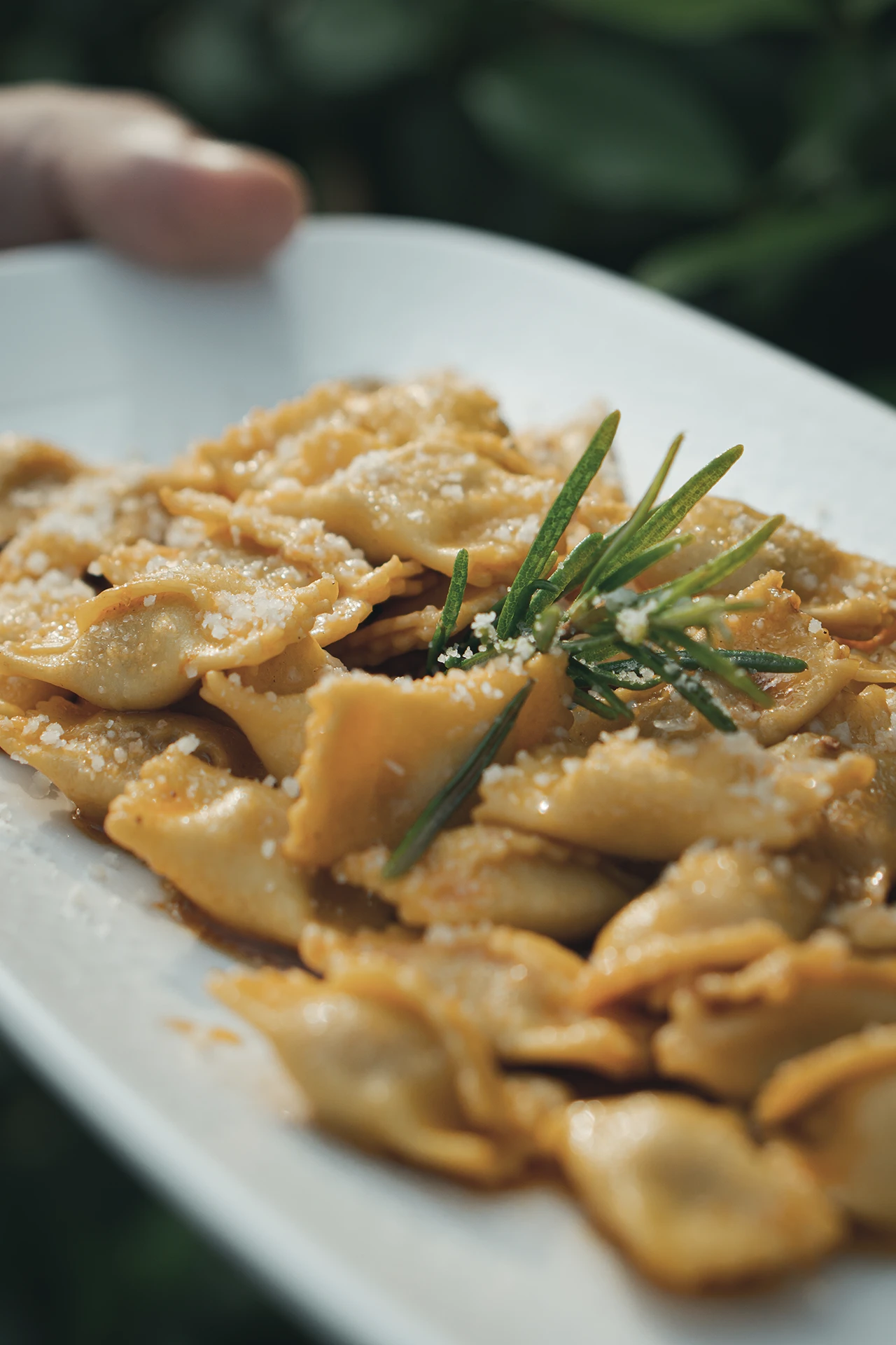 Ravioli del plin con parmigiano e rosmarino