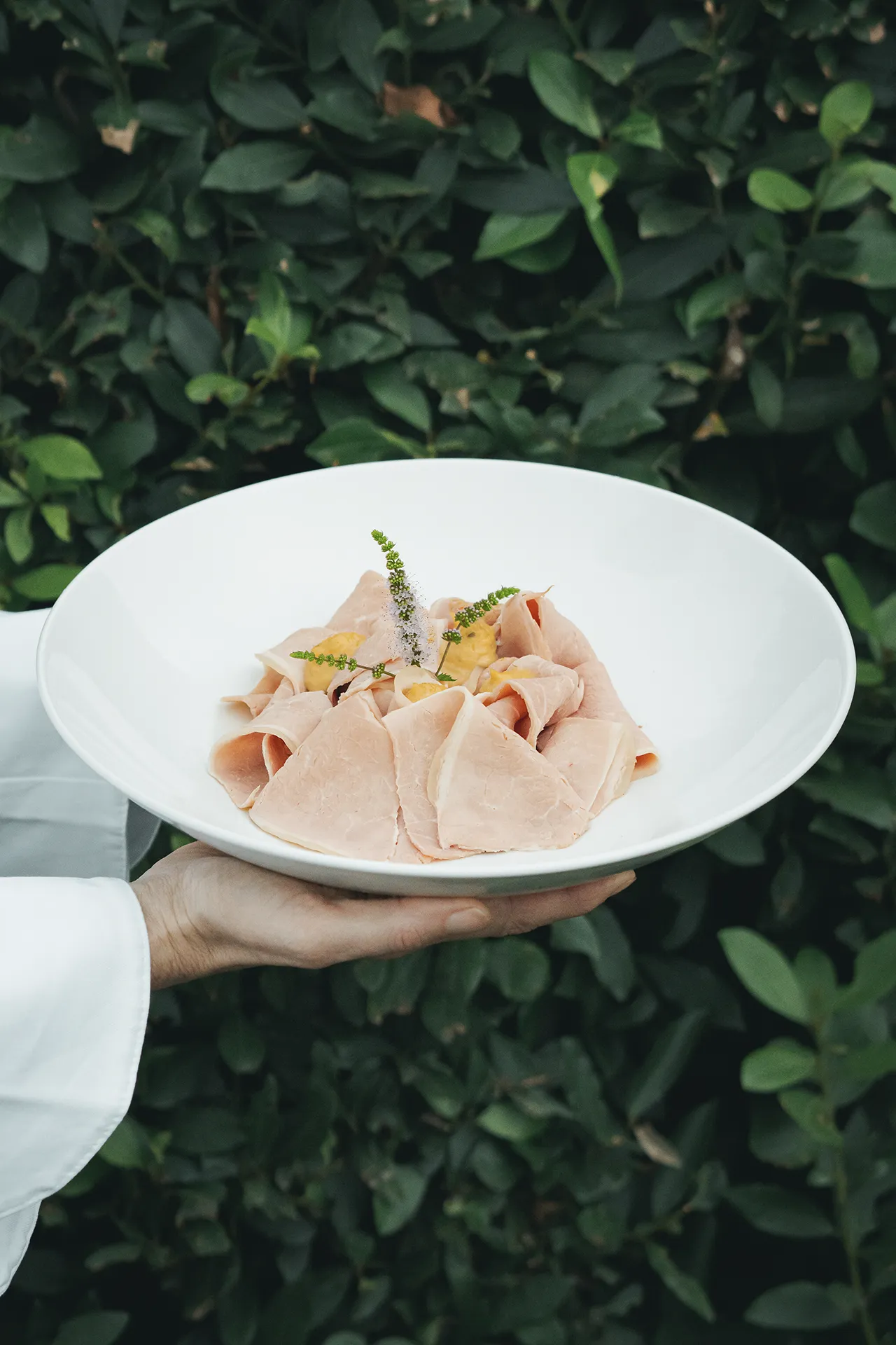 Affettato impiattato con erbe aromatiche