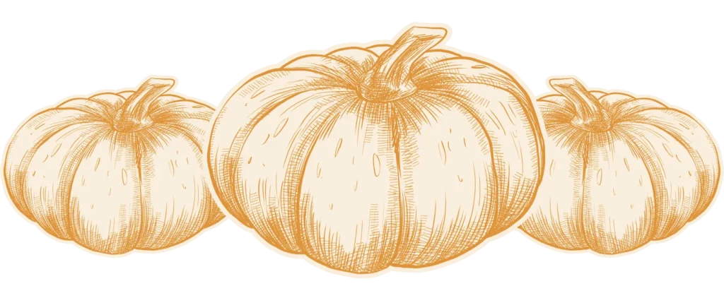 Illustrazione di zucche